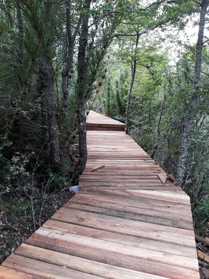Parque Amavida Malalcahuello Exterior foto